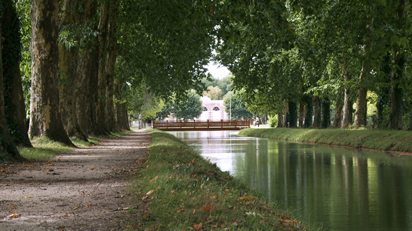 Canal de la Sauldre à Lamotte-Beuvron